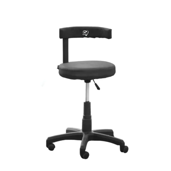 Patient Revolving Stool with Cushion Back Rest – Hydraulic (ANS-PS-3)