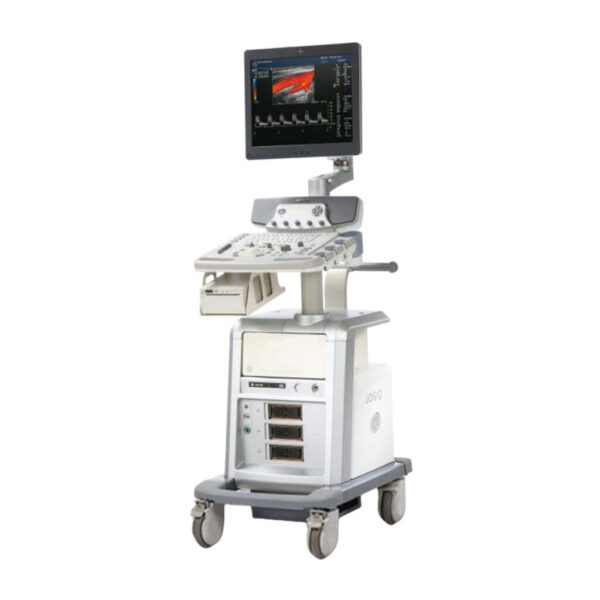 GE Logiq P6 ultrasound machine