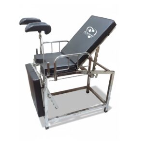 Premium Stainless Steel Delivery Table for Hospital Use